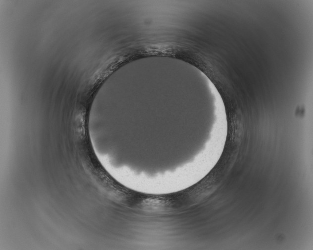 X0000112910699200910051043