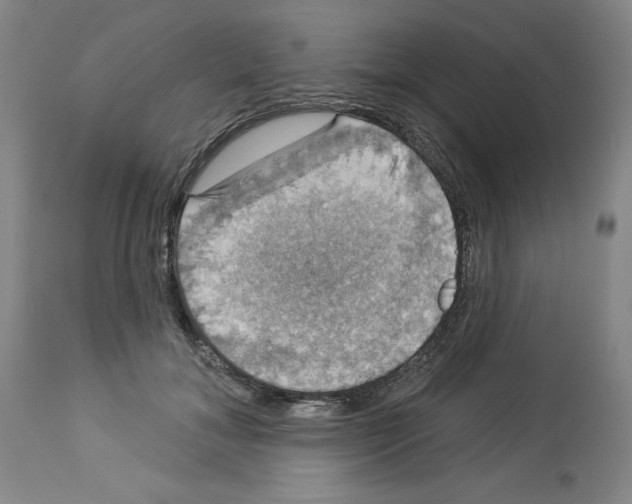 X0000112910700200910051043