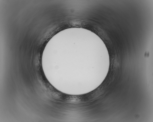 X0000112910702200910051043