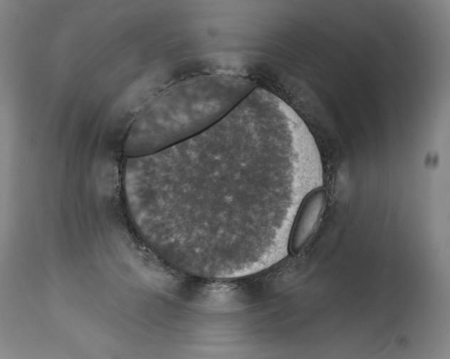 X0000112910704200910051043