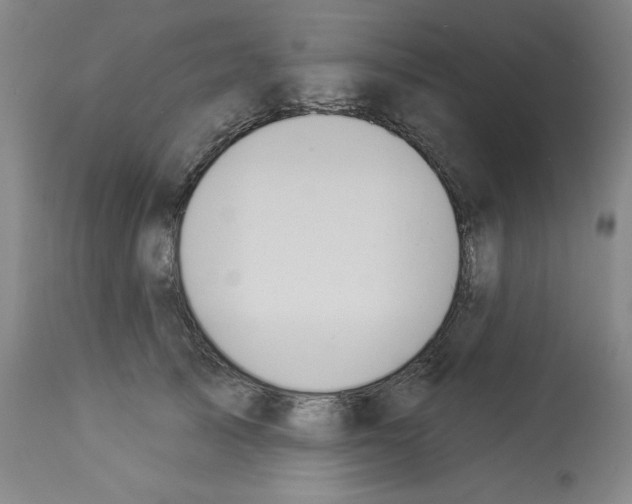 X0000112910705200910051043