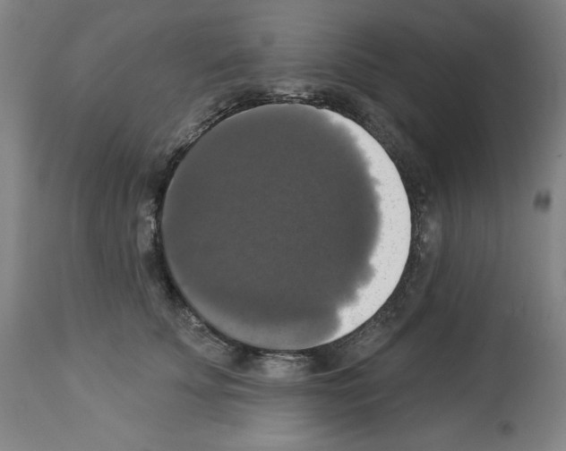 X0000112910707200910051043