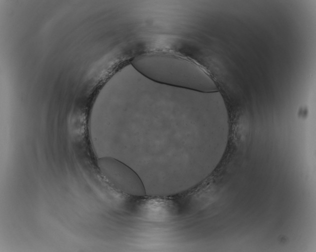X0000112910708200910051043