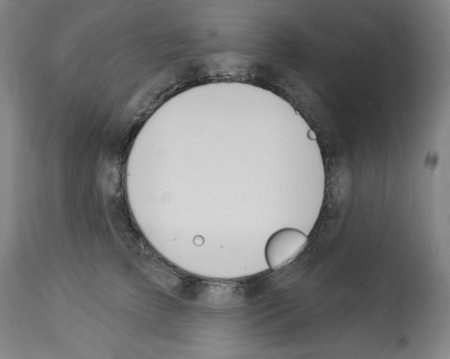 X0000112910709200910051043