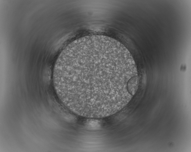 X0000112910710200910051043