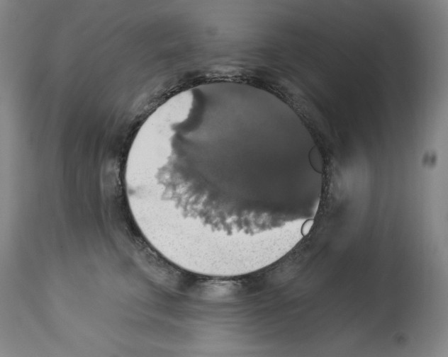 X0000112910711200910051043