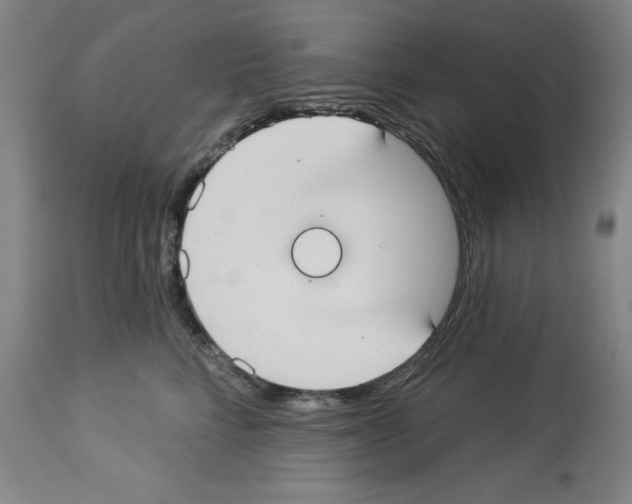 X0000112910712200910051043