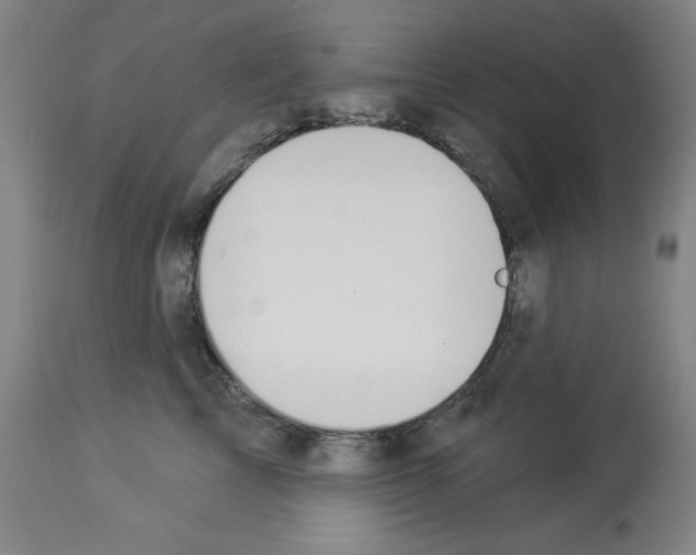 X0000112910713200910051042
