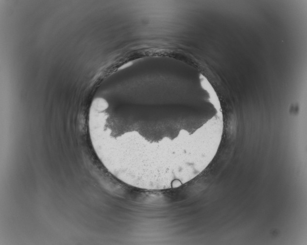 X0000112910715200910051042