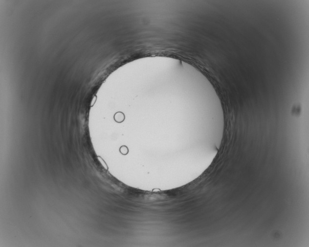 X0000112910716200910051042