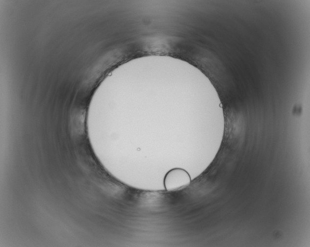 X0000112910717200910051042