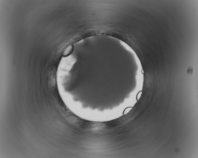 X0000112910719200910051042