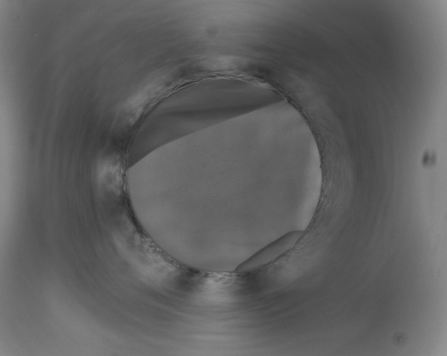 X0000112910720200910051042