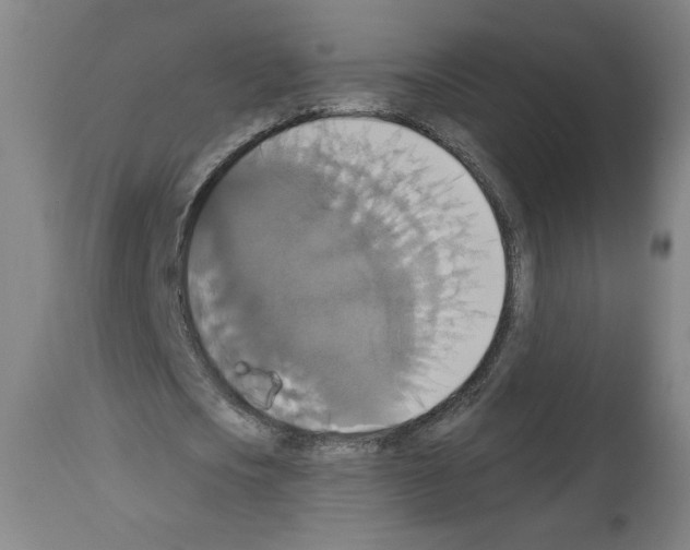 X0000112910721200910051042