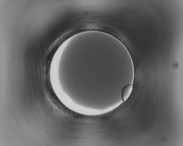 X0000112910722200910051042