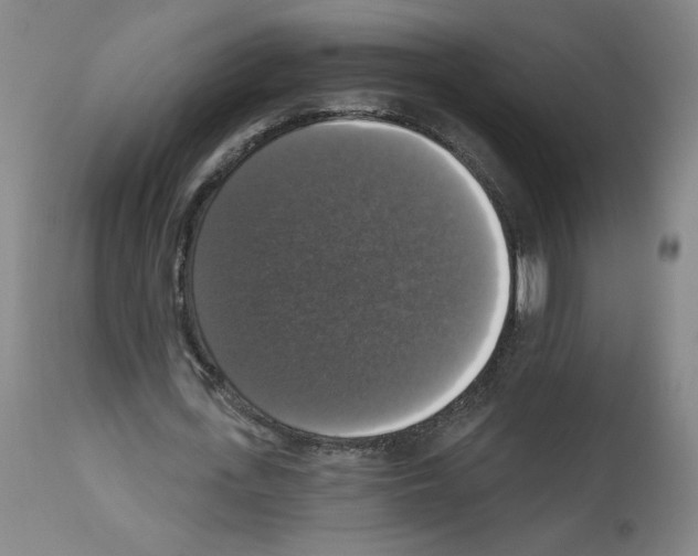 X0000112910723200910051042