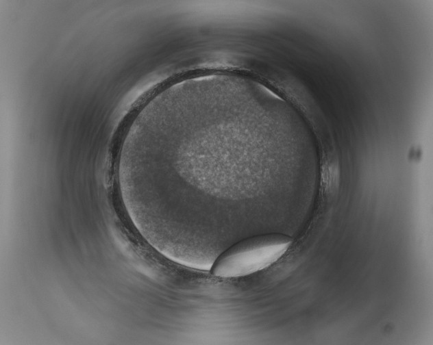 X0000112910724200910051042