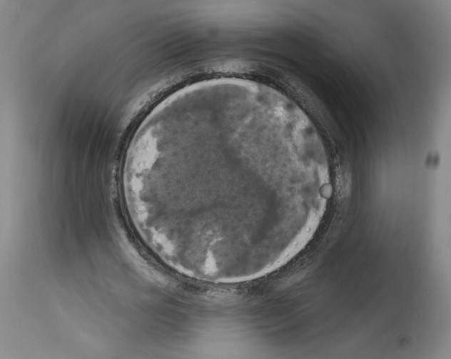 X0000112910725200910051042