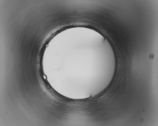 X0000112910726200910051042