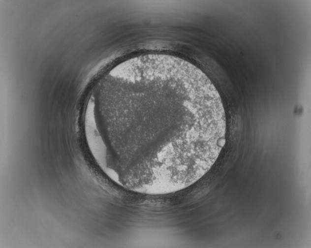 X0000112910727200910051042