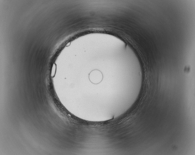 X0000112910728200910051042