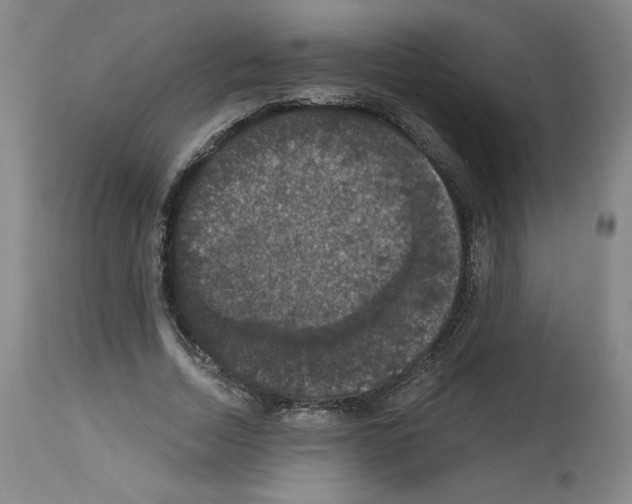 X0000112910730200910051042