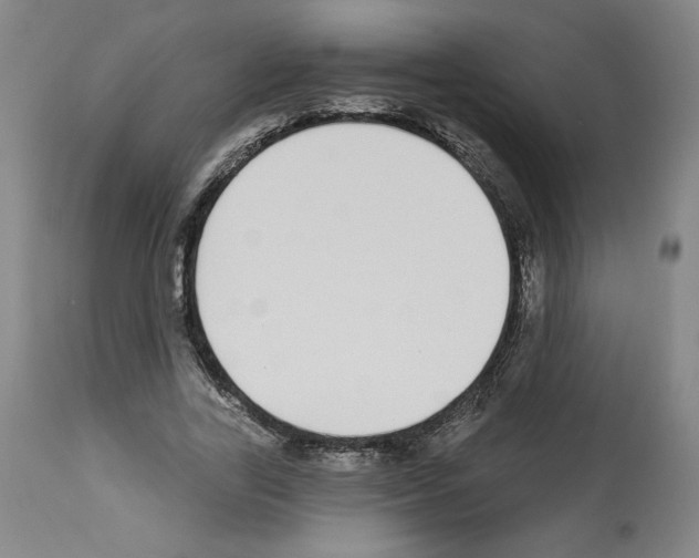 X0000112910731200910051042