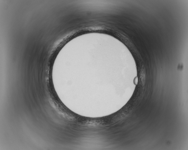 X0000112910732200910051042