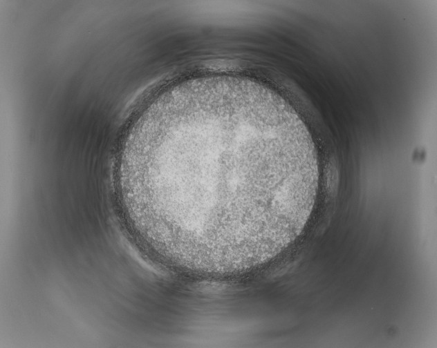 X0000112910733200910051042