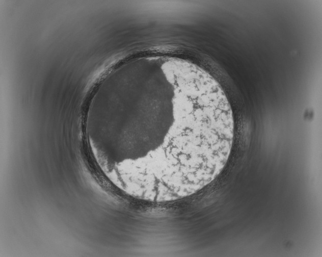X0000112910734200910051042