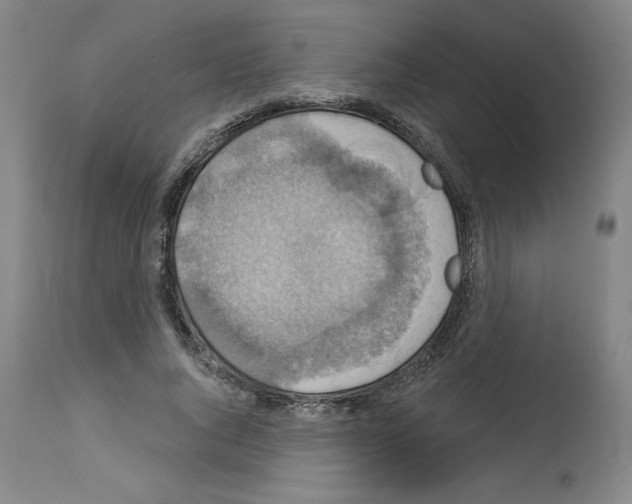 X0000112910736200910051042