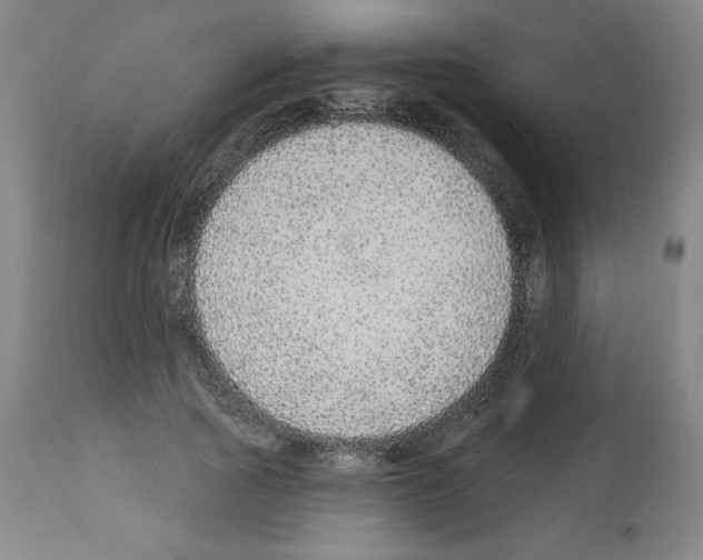 X0000112910737200910051042