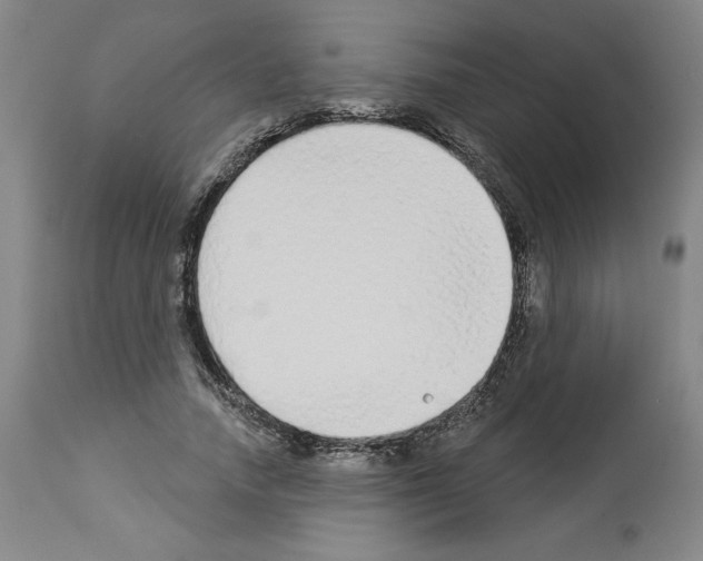 X0000112910738200910051042