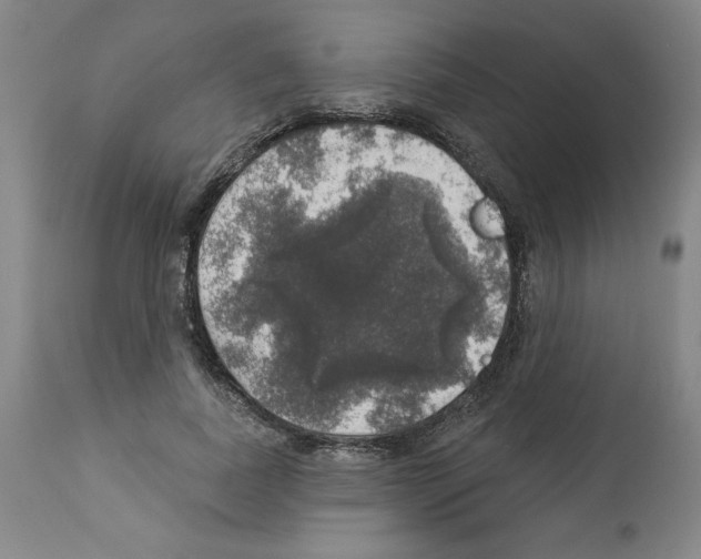 X0000112910739200910051042