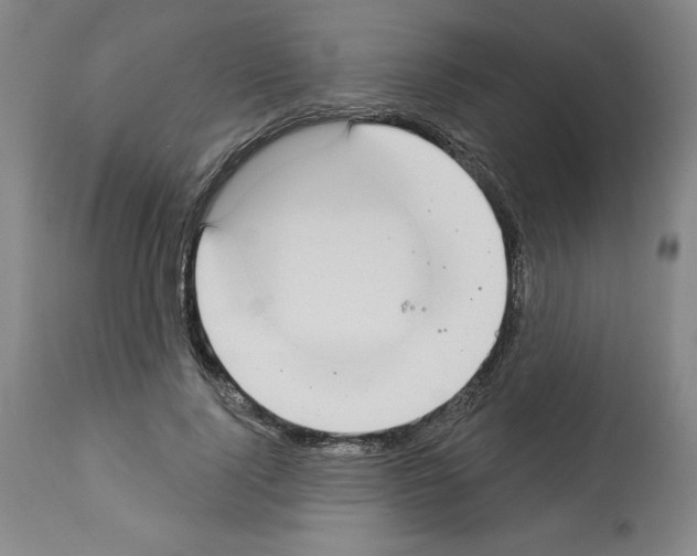 X0000112910740200910051042