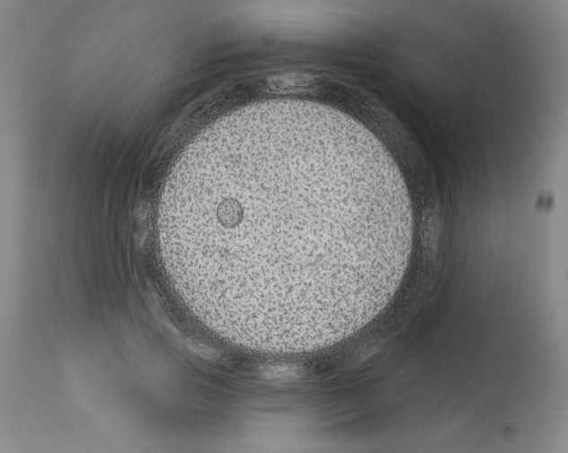 X0000112910741200910051042