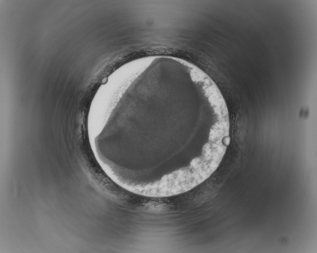 X0000112910742200910051042