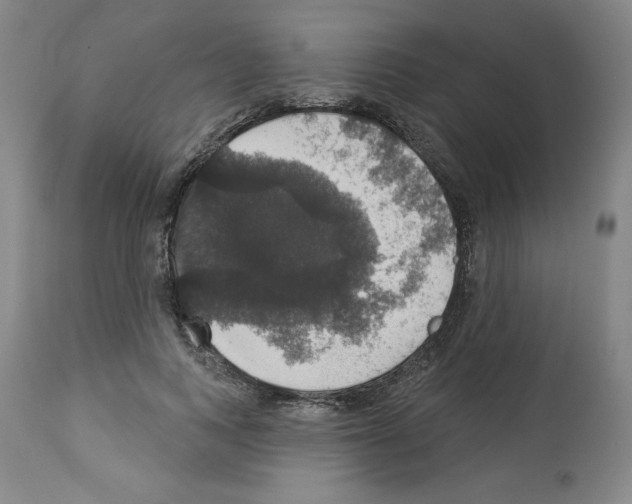 X0000112910743200910051042
