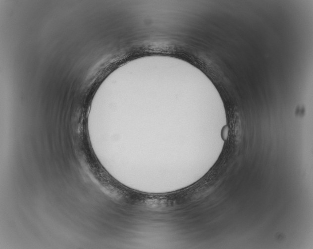 X0000112910744200910051042