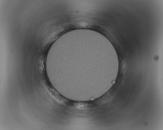 X0000112910746200910051042