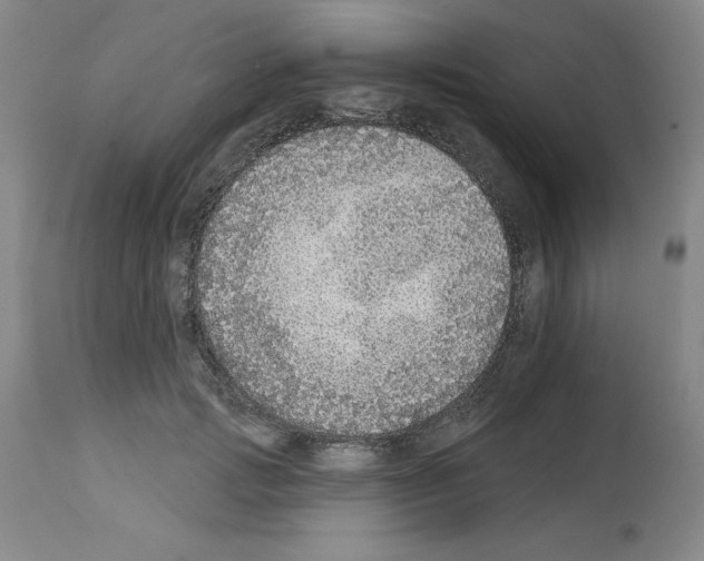 X0000112910749200910051042