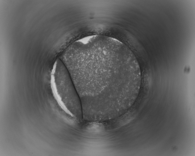 X0000112910750200910051042