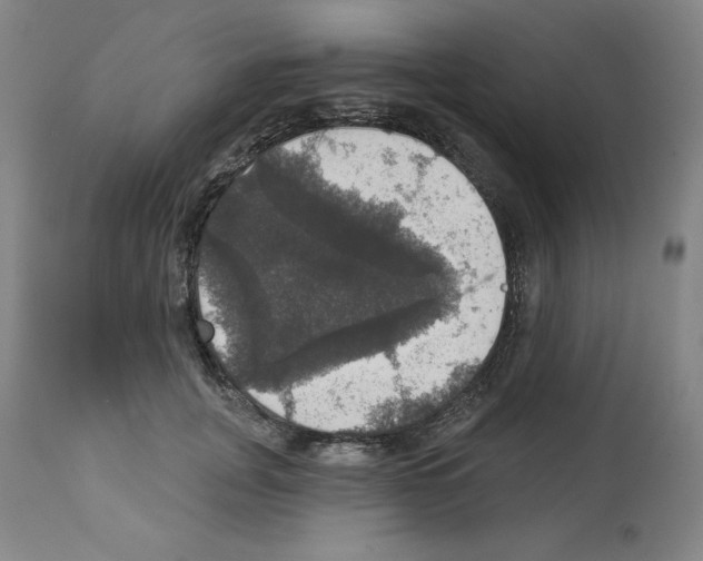 X0000112910751200910051042