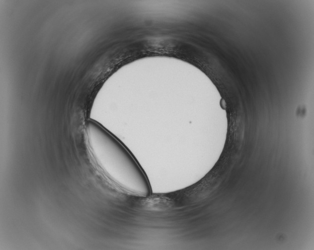 X0000112910752200910051042
