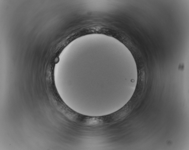 X0000112910754200910051042