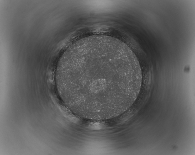 X0000112910755200910051042