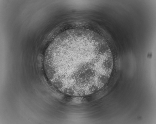 X0000112910757200910051042