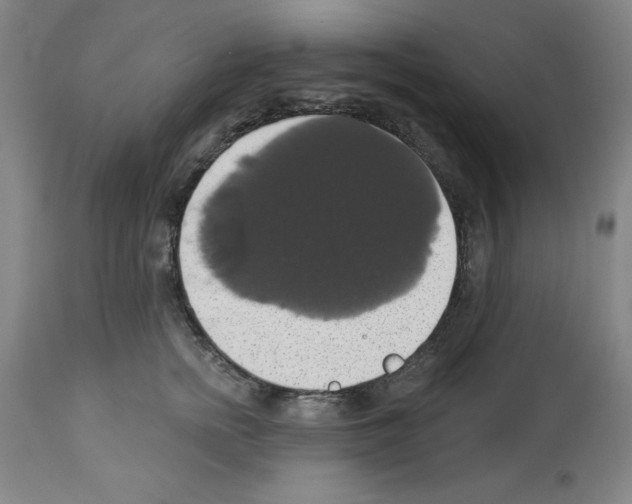 X0000112910758200910051042