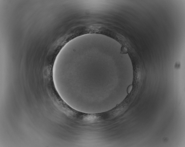 X0000112910759200910051042