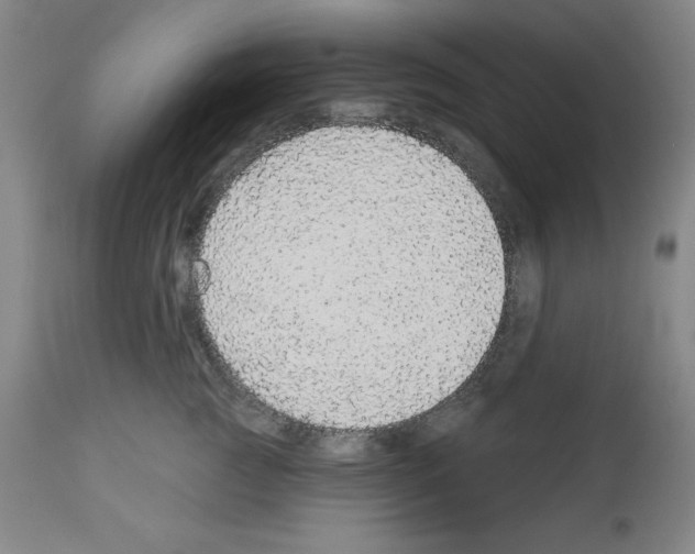 X0000112910761200910051042